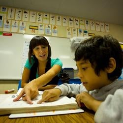 Teacher and Student
