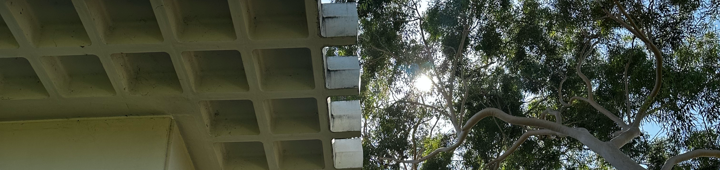 Corner of Sproul Hall