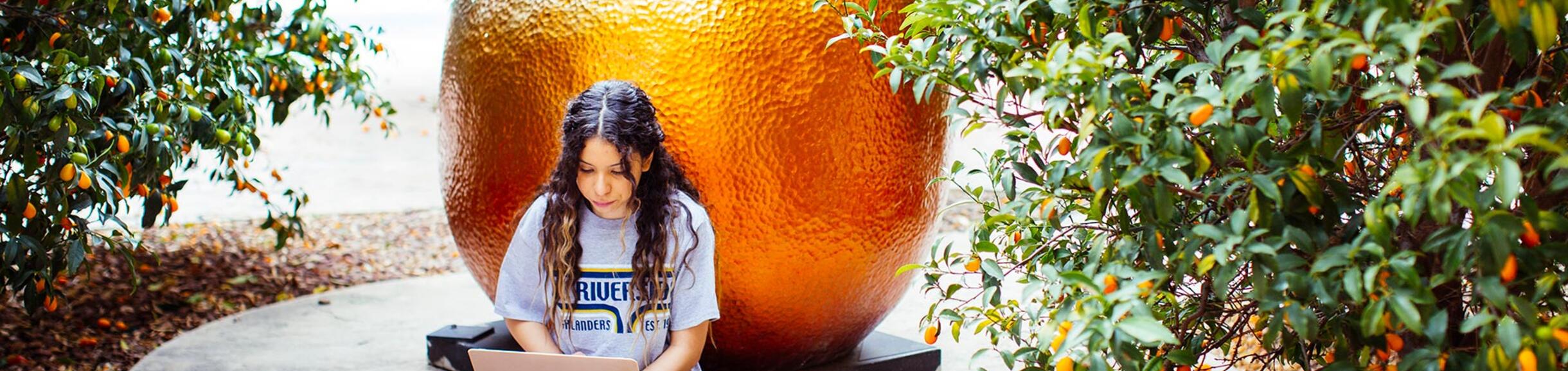 student studying by citrus sculpture